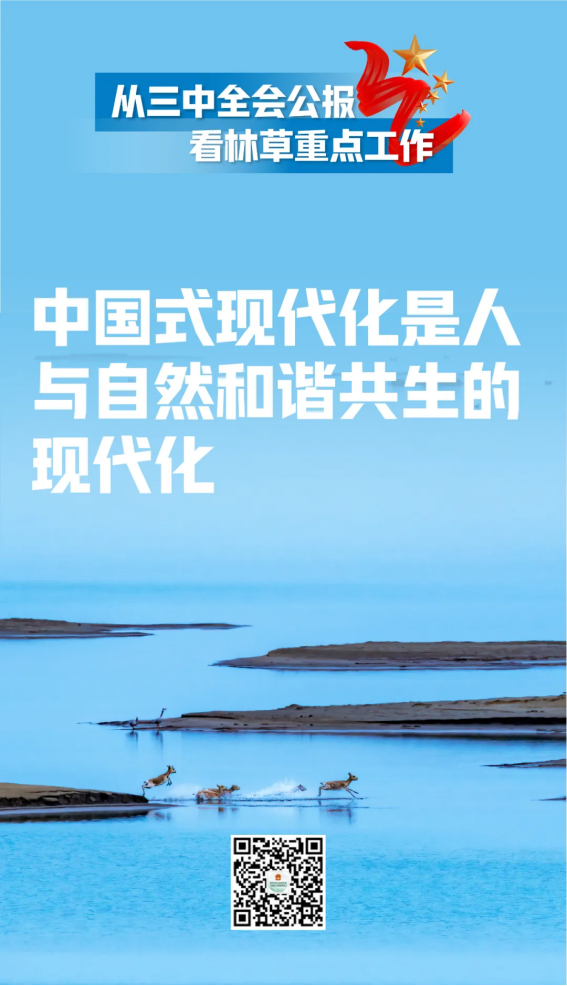 51漫画
无限公司